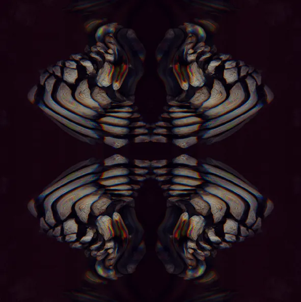 006