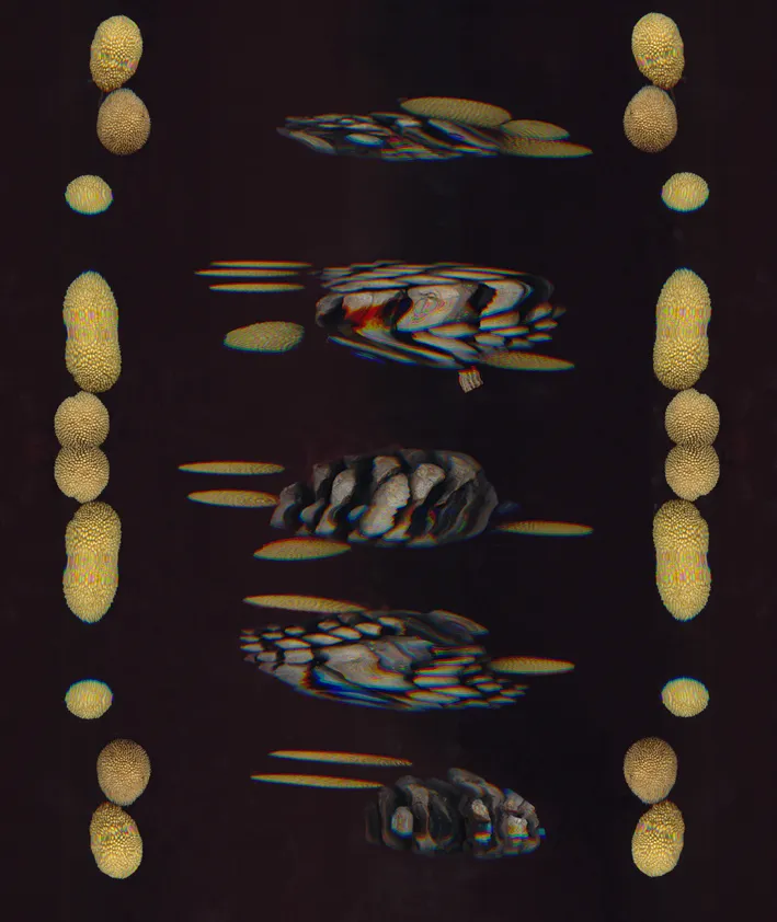 005