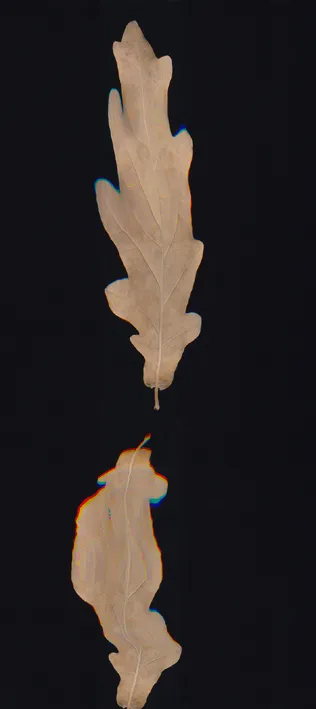 002